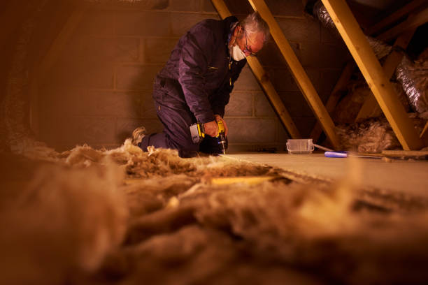 Types of Insulation We Offer in Santa Rosa Valley, CA